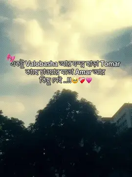 একটু valobasha আর যন্ত্ন ছাড়া Tomar কাছে চাওয়ার মতো amar আর কিছু নেই ..!!🥹❤️‍🩹#CapCut #tanjil12 #foruyou #bangladesh🇧🇩 #vairalvideo @TikTok Bangladesh 