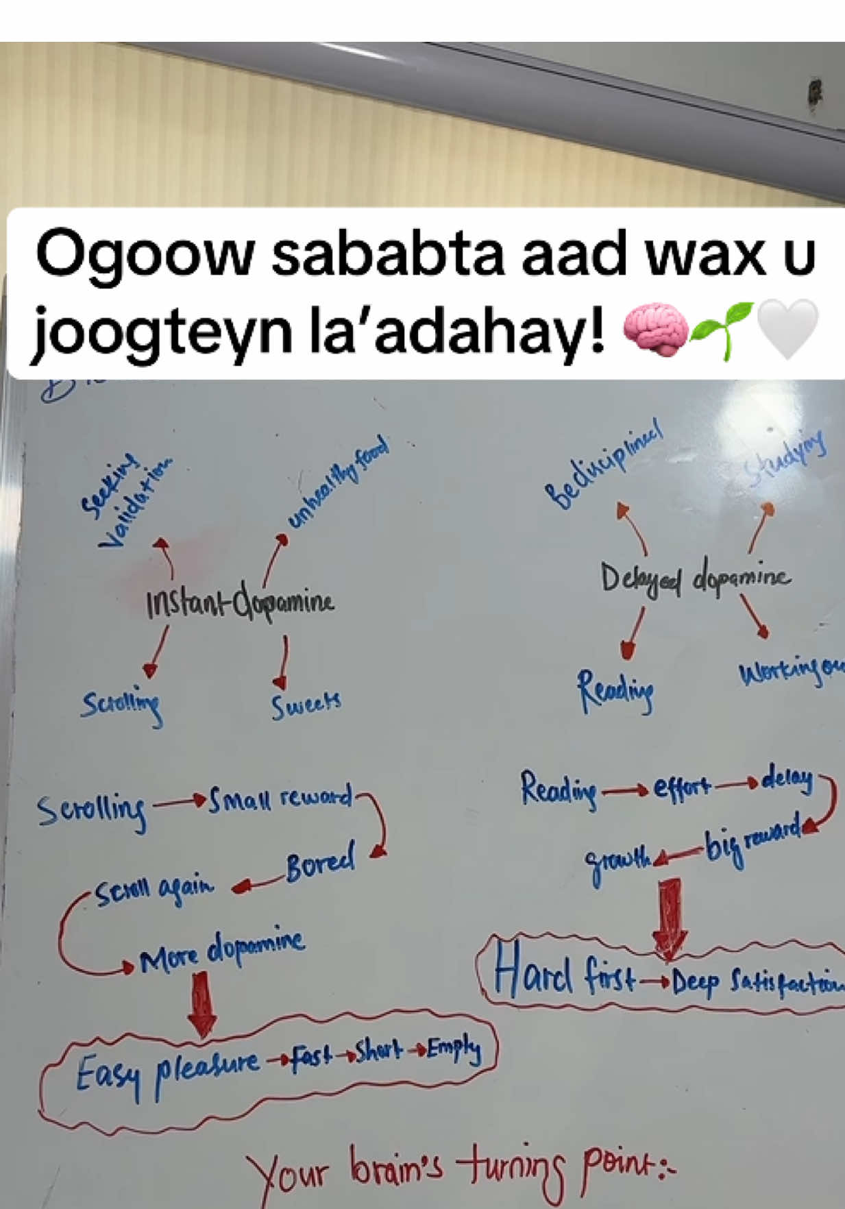 Delayed gratification is all you need to win! 🏆🥳🌱🤍🧠 #munasawakens #somalitiktok #munaswhiteboard #munasawakensclass #dibudhiskanoloshaada 