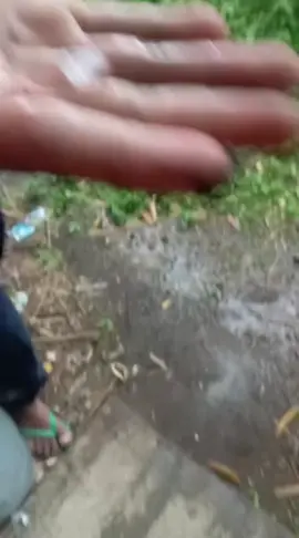 karangrejo garum blitar hari ini hujan es bolo ada apa ini #vidioviral #fouryou #blitar24jam 