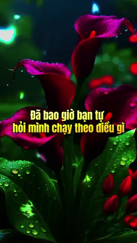 đã bao giờ bạn hỏi mình chạy theo điều gì? #trietlycuocsong #caunoihay #xuhuongtiktok #sachhay 