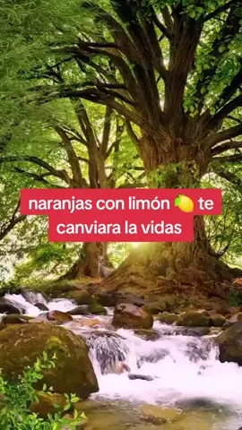 gracias mi Dios #tiktoklive 