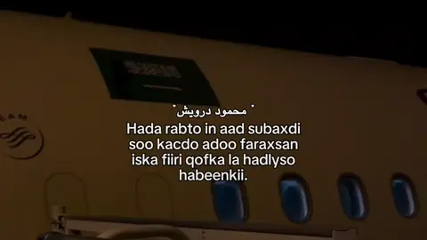 iska fiiri.💔🥀 #foryoupage #viewsproblem😭 #hamudi