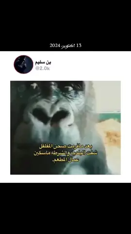 #في هذا اليوم 