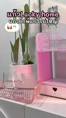 แก้วสวยวางได้ทุกมุม ใบใหญ่แบบจุใจมาก🤩❤️ #แก้วน้ํา #แก้วใส #แก้วมินิมอล #ป้ายยาของใช้ #รีวิวของใช้ในบ้าน 