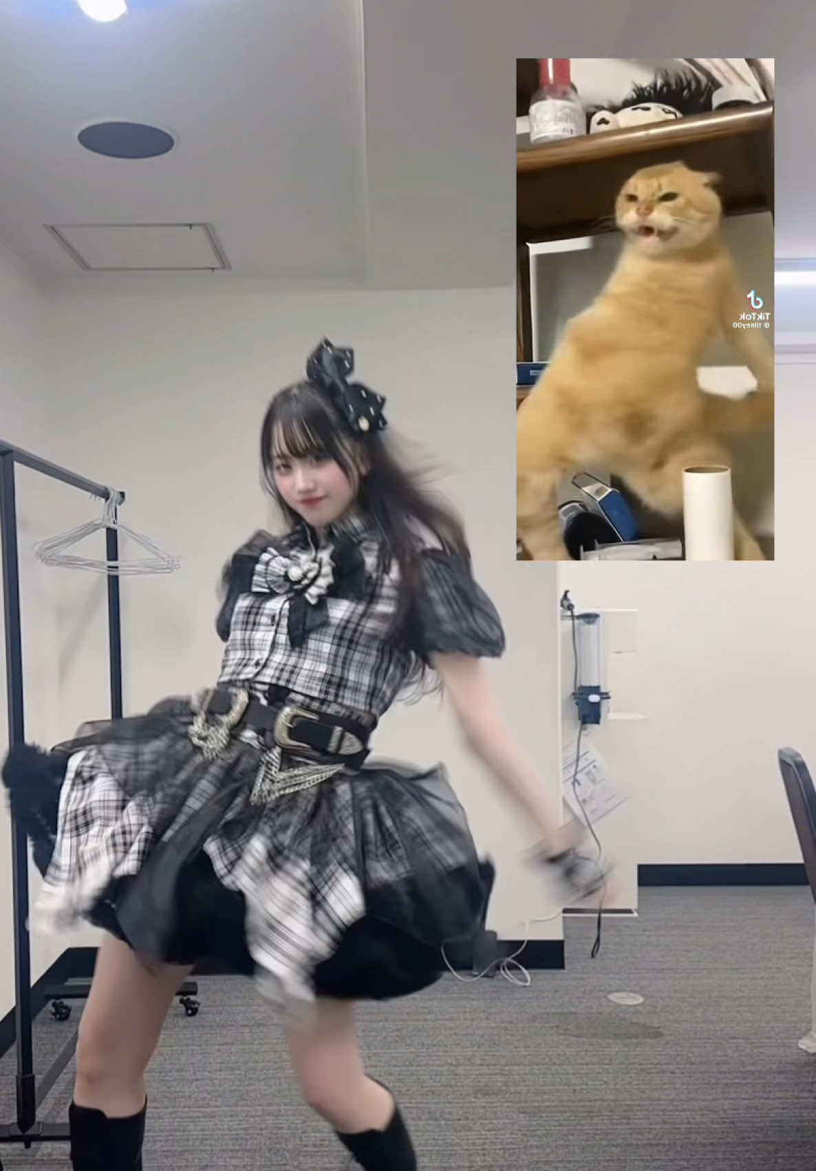 楽屋で可愛いアイドルさんたちがいる中でこれ踊るの恥ずかしかった👉🏻👈🏻,, #アイドル #日常#猫ダンス #catdance 
