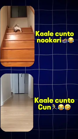 #CapCut 