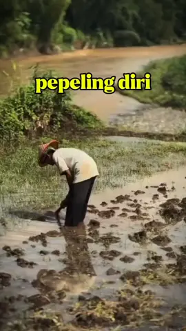 tanya di diri urang teh Aya naon #pepelingsundakahirupan 