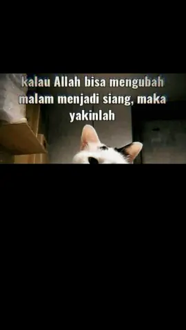 Xic hi`jrah || part26 #memedakwahislam #dakwah_islam #hijrahstory #islamic_video #foryoupage