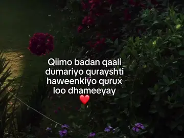 ❤️ . .