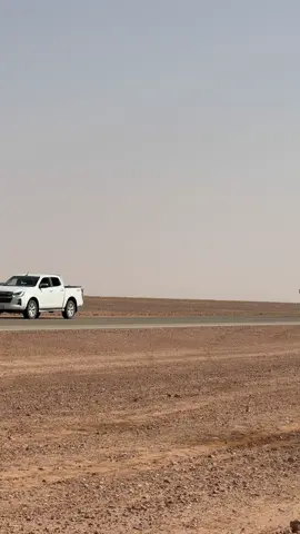 #معزيله #محمية_الامام_تركي_بن_عبدالله_الملكية 