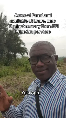 Farmland available for you now. #oilpalm #Yukiagro #treanding @BabaObaTv @Yuki Agro limited 