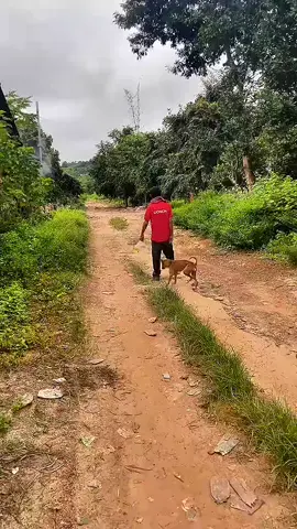 Đôi khi chợt nhận ra quên lối về. 