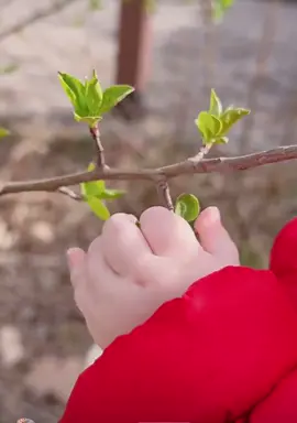 Quá trờuu cưng rồi 