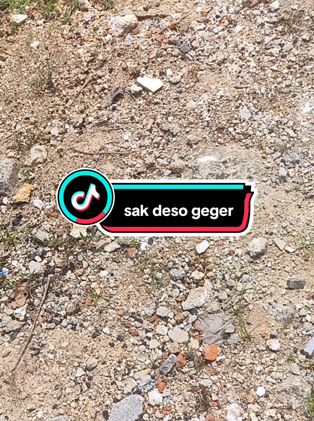 yo jeneng e we ibu ibu , reting kiwo sok malah belok tengen , lha iki kejadiane malah melaku dewe jegur sapiteng 🗿 marai geger sak deso #fyp #viral #damkar #damkarindonesia #damkarhits 