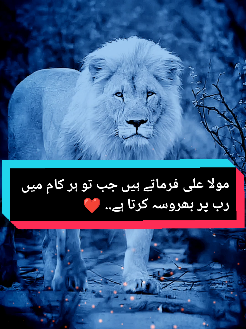 Jab Tu Har kam Mein Rab per Bharosa karta hai.. 💯❤️ #imamali #hazartali #lifelessons #motivational #foryoupage❤️❤️ 