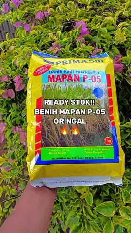 BISA LANGSUNG DI CEK DI KERANJANG KUNING👆 #CapCut  #fyp  #petanimuda 