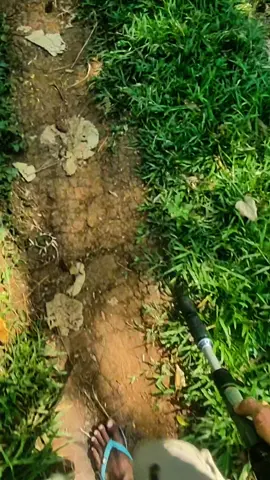 opone sing mlebu metu jare lagu Iki #xybca #fypシ゚ #hunting 