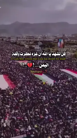غزه نكرت موقف اليمن