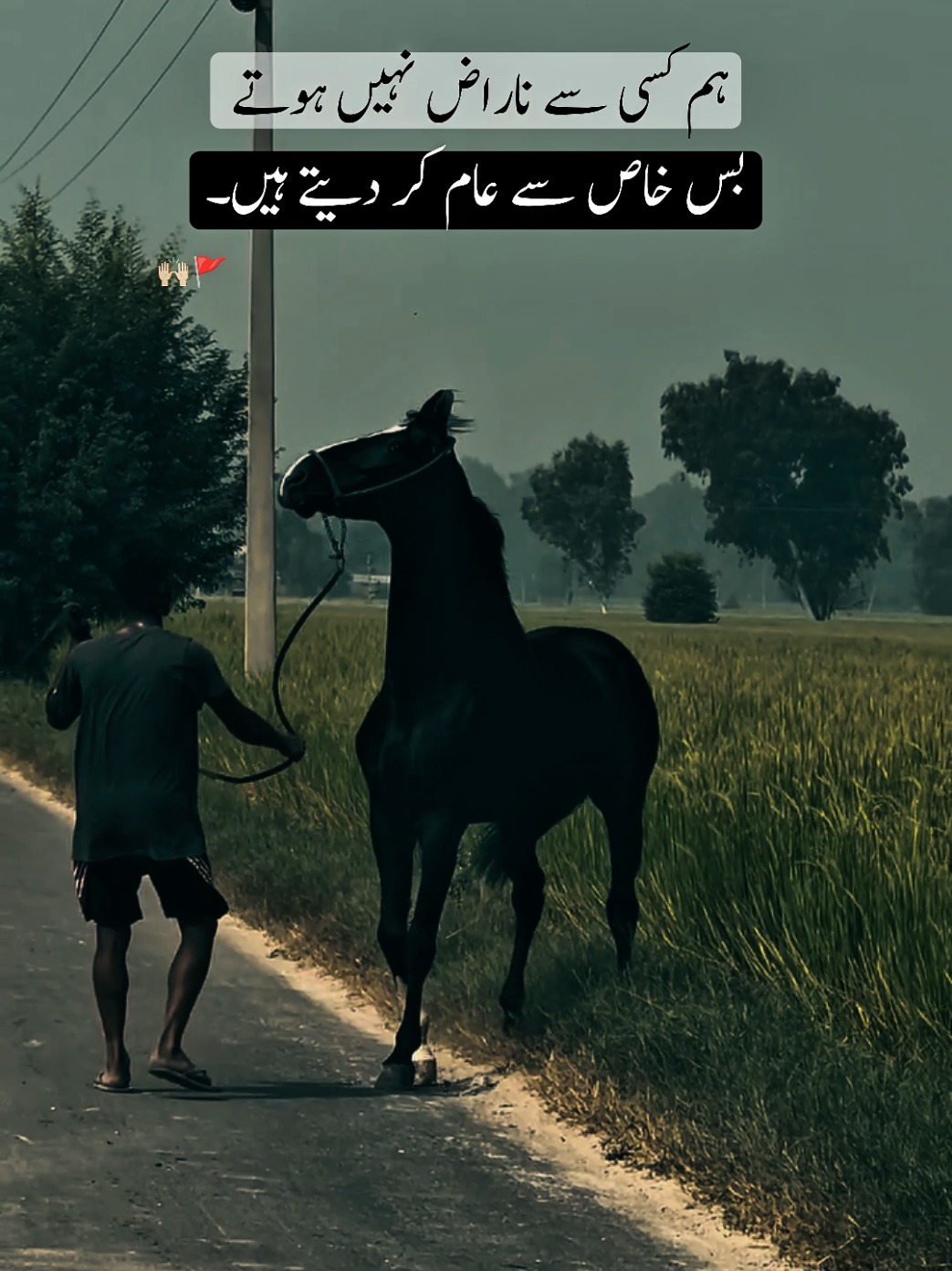 Bilkul 🚩🙌🏻 #peotrystatus #fypシ゚ #statusvideo #viralvideo #trendingnow 