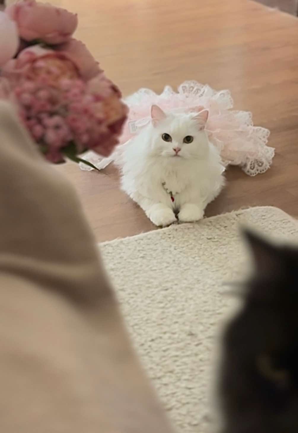 gumi centil banget 😭