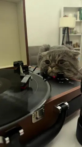 #sezenaksu #geridön 🕰️🤎 #turk #retro #f 🎶🍁🍁🎶🍁🎶