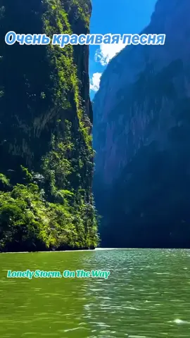 #музыкадлядуши 