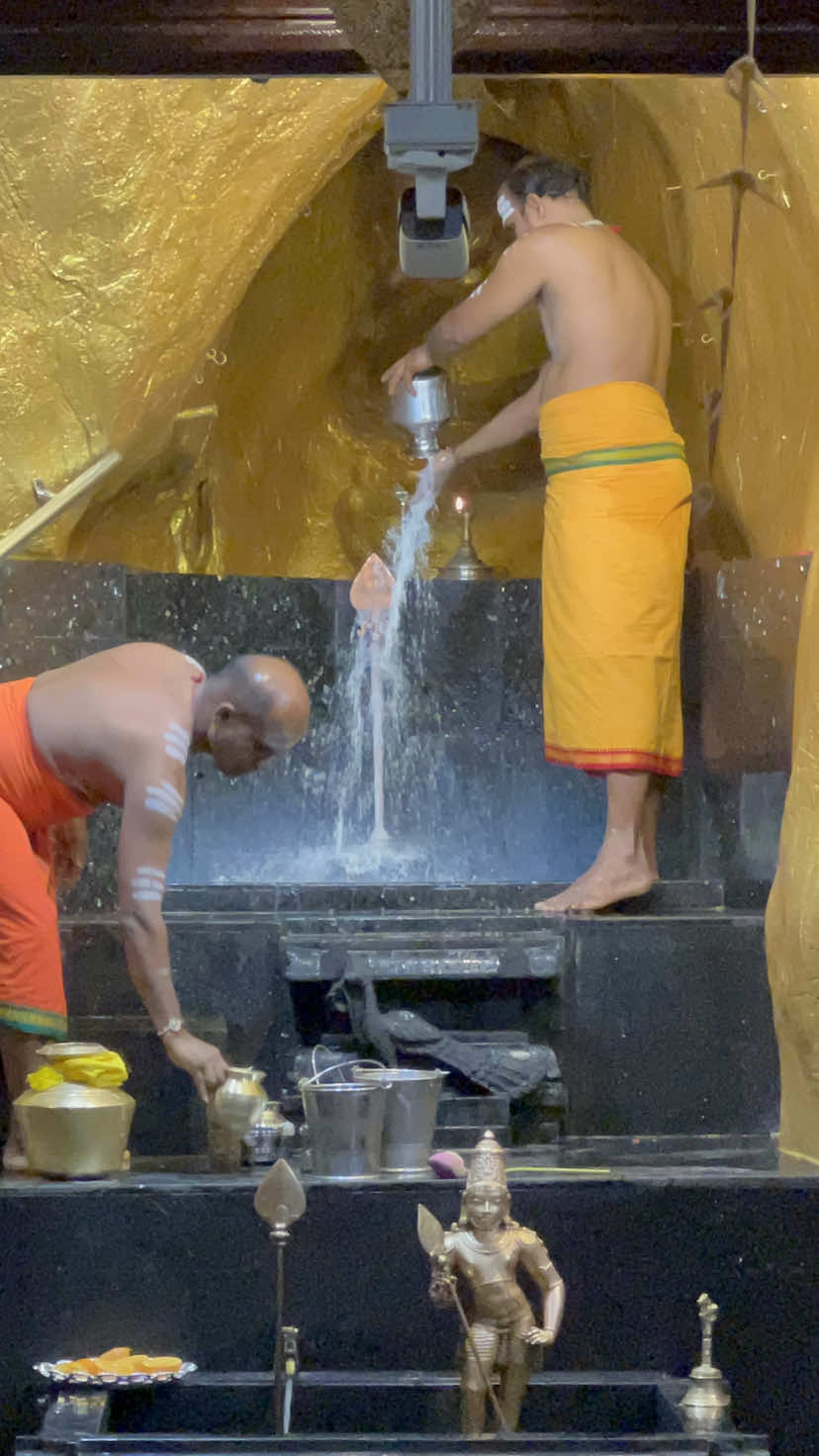 யாம் இருக்க பயமேன் 🦚🪷⚜️✨  #murugan #batucaves  #fyp #trending #vertivelmuruganukuaragoooraaa 