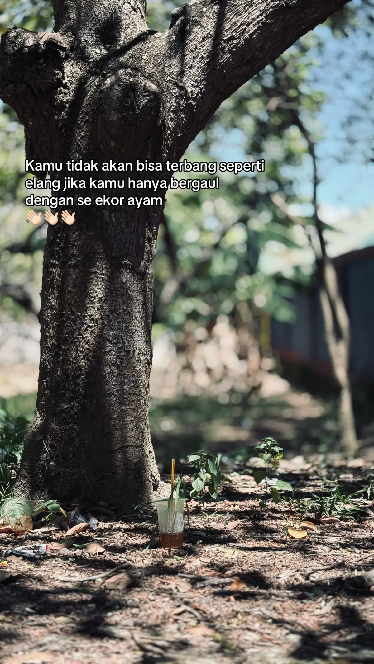 #katakatamotivasi #katakata #xybca #lewatberanda #lewatberanda 