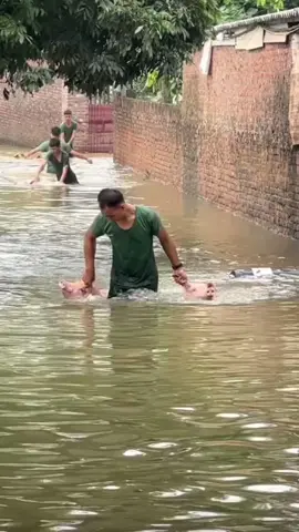 Vừa thương vừa buồn cười quá 😄🥰 #bãolụt #mienbac #lulutmientrung #quandoinhandanvietnam #vietnam 