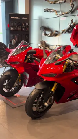 Stepping into horsepower heaven ❤️🚀 #fyp #fypシ゚viral #foryourpage #ducatibigbike #Ducati 