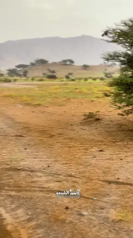 #مجرد_ذوق #تجربتي 