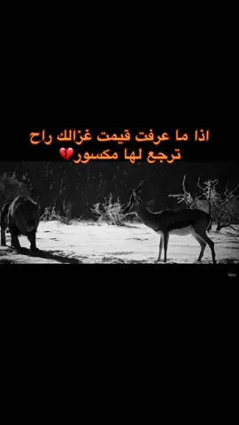 مراح تعرف قيمت الشخص الي معك الى بعد ما يروح من يدك #اللحن_الحزين💔😴 #مشاغب_نجران #اكسبلورexplore #نجران_الان #اللحن_الحزين💔 @اللحن الحزين✔️ لا تنسون من المبدع @18 🇸🇦 