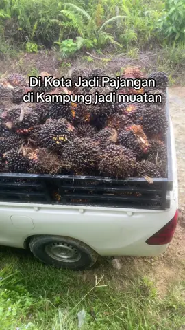 Menyala Sawit🔥 #sawit #hilux #muatansawit #fyp #masukberanda 