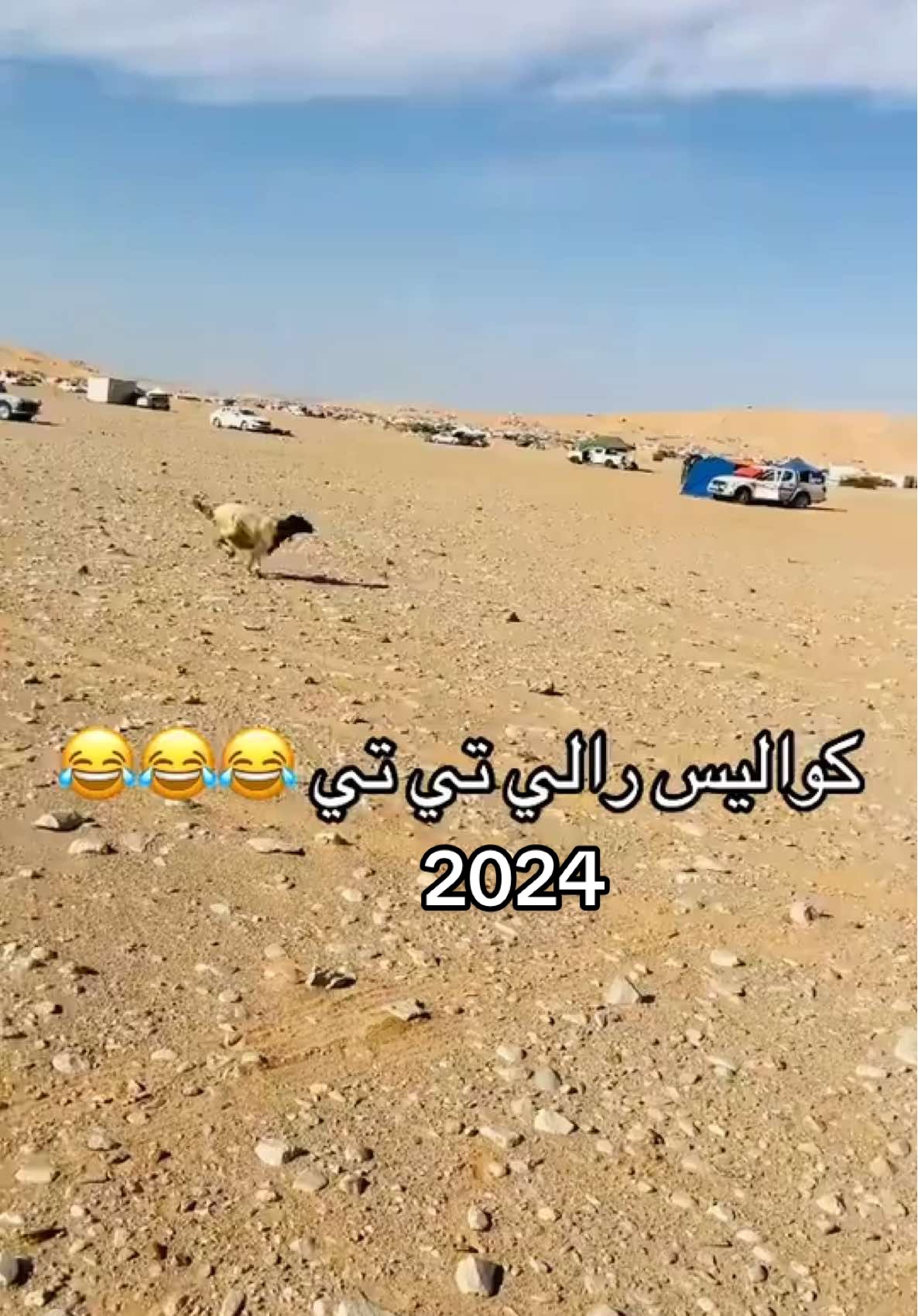 #كواليس_تصوير #رالي_تي_تي_الصحراوي_بودان #😂😂😂😂😂 #ودان_الجفرة_ليبيا 