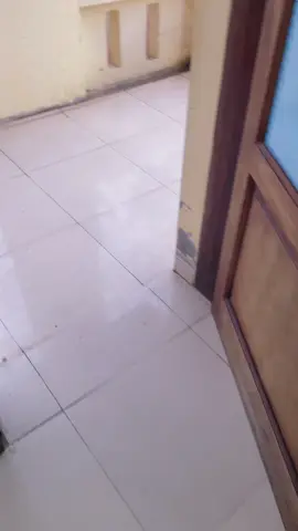 Hết bão rồi lại mưa#bão #boidoi #vinhandanphucvu 