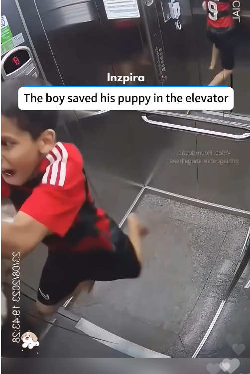 Kids help the dog 🐶 #baby #pet #dog #tiktok #fyp 