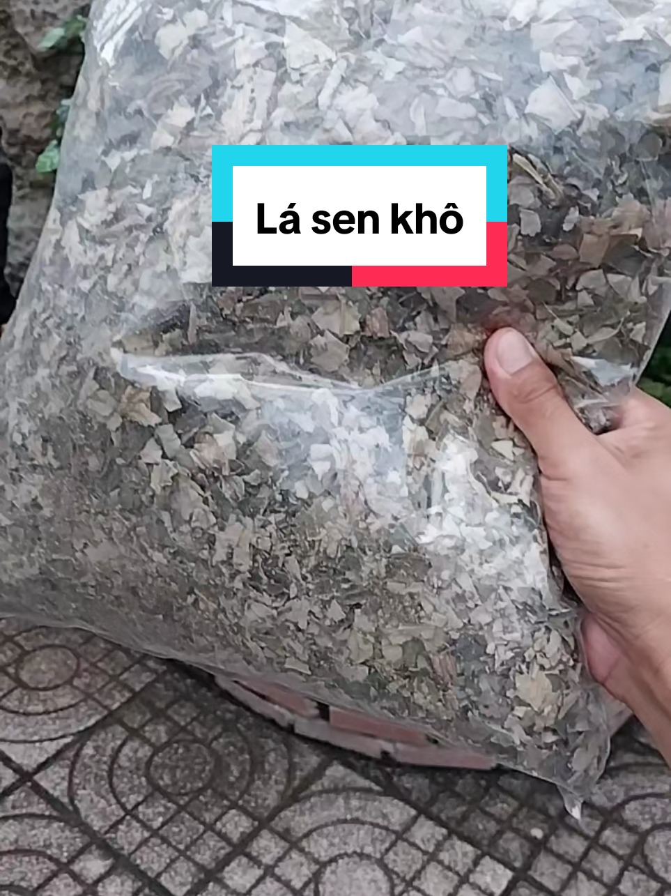 Lá sen khô làm trà uống khá thú vị, mát mẻ và ngủ ngon #lasenkho #lasen #tralasen #matngu #tratrimatngu 