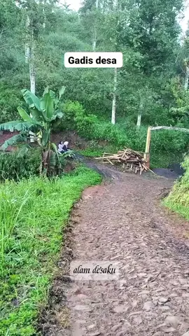 pesona gadis desa #alamdesaku #fyp