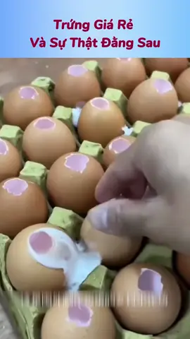 Trứng Giá Rẻ Và Sự Thật Đằng Sau #foryouu #reviewcuocsong #reviewphim #kienthuc #fyp 