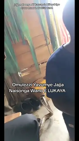 Omulezzi Yavumye Jajja Naisonga Wano E LUKAYA #JAJJANAISONGA🛖 #jjajawabana #musawowekinansi #eddagalalyobutonde 