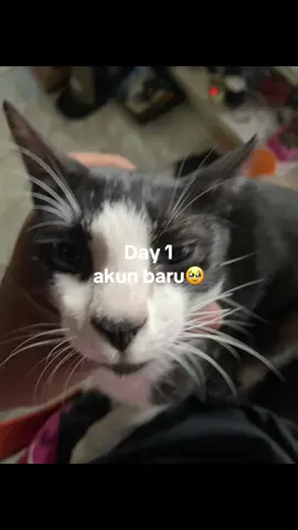 #day1akunbaru#akunbaru#fyb