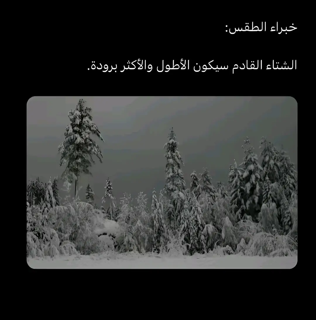 شتاء # قراند5# سوني 5# شاهي نعناع🍃# ردد# فيفا#فورت