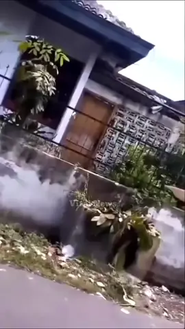 Viral! Tak Terima Ditertibkan, Warga Dorong Lurah Hingga Masuk Parit Tak terima ban karet yang melintang di ruas jalan dibongkar, seorang warga mendorong lurah hingga masuk ke dalam parit. TKP: jalan Madupuro Kecamatan Medan Timur