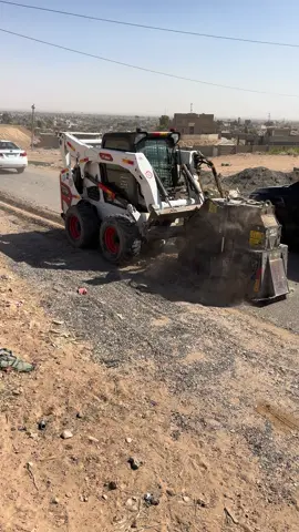 #مشاهير_تيك_توك #الشرگاط #بعاجة 