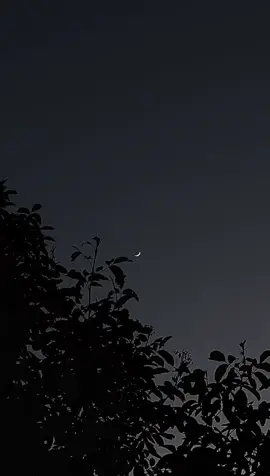 #fyp #foryoupage#payvet..mn #duhok_zaxo_amedi_semel_akre #likeandcomment 