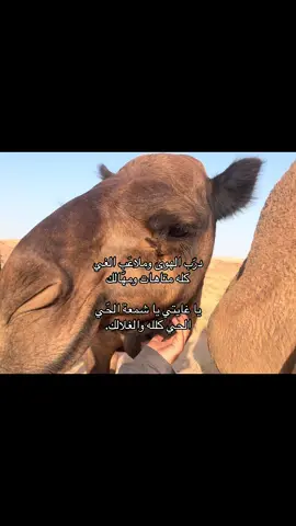 درّب الهوى وملاعَب الغي كله متاهات ومهّالك يا غايتي يا شمعة الحّي الحي كلله والغلالك.#pov #اكسبلورexplore #الشويكان #الجوف #الشعب_الصيني_ماله_حل😂😂 #سكاكا_الجوف_اكسبلور #البداوه 