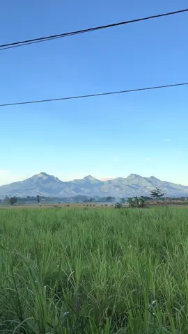Gunung muria hari ini cakepnya kebangetan si wkwk #kudus #muria #pegunungan #vibesaesthetic 