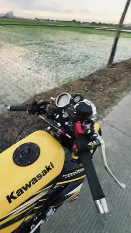 ndue ninja raoleh galo 😝 #ninjass #fyp #budispeed #ninja150 #ninja150 