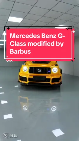 Mercedes Benz G- Class modified by Barbus