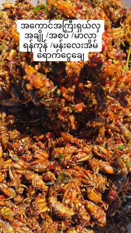 #လက်ကားဒိုင်ကြီး #ရာသီအချိန်ပုရစ်ပုရစ်အကောင်ကြီရရှယ်လှ #မန်းလေးမြို့ #ငါသေမှပဲfypပေါ်ရောက်မှာလား😑 #ရန်ကုန်မန်းလေးအိမ်အရောက်ငွေချေရပါတယ် #ငါ့viewတွေဘယ်ရောက်သွားတာလဲ #ရာသီအချိန်ပုရစ်ပုရစ်အကောင်ကြီရရှယ်လှ #foryoupage #951056347 